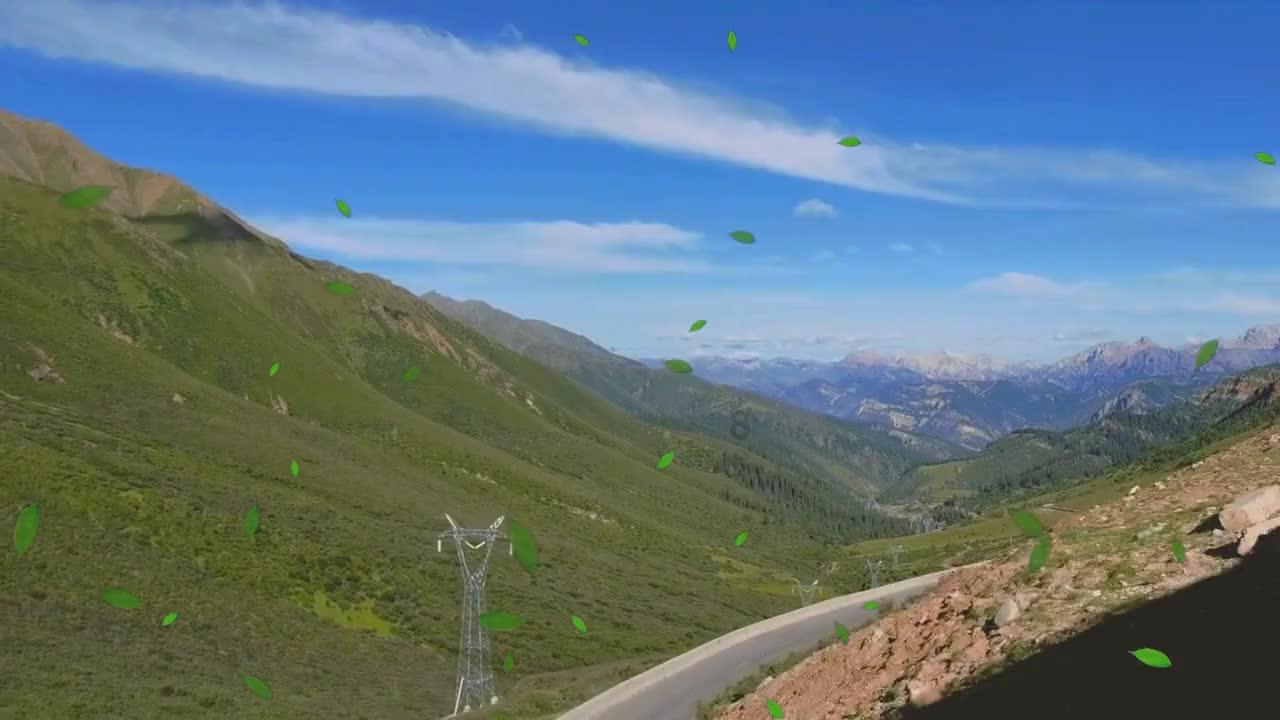 探索如何区别公龙虾和母龙虾?,共享知识的星球平台